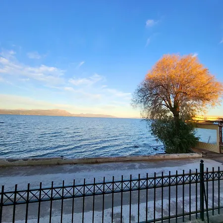 Dilion Guest Dhilesi