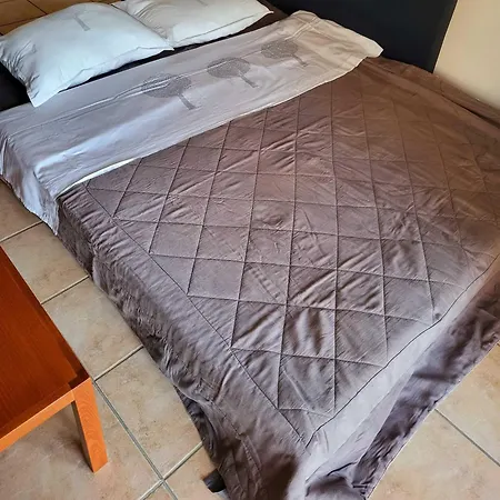Dilion Guest * Dhílesi